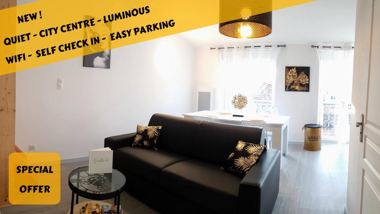 Les Nuits D'Anis - Appartements Hypercentre Le Puy-en-Velay Zewnętrze zdjęcie
