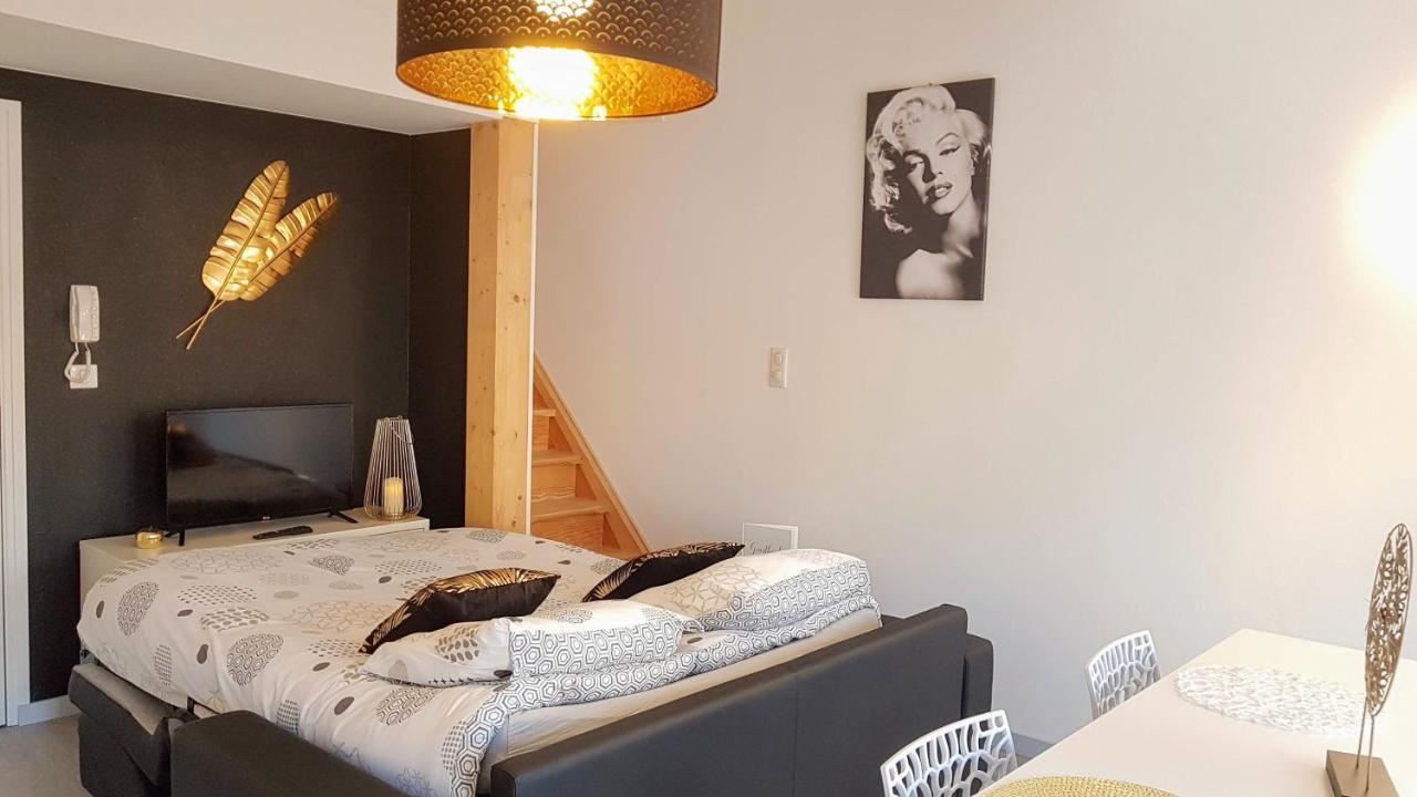 Les Nuits D'Anis - Appartements Hypercentre Le Puy-en-Velay Zewnętrze zdjęcie