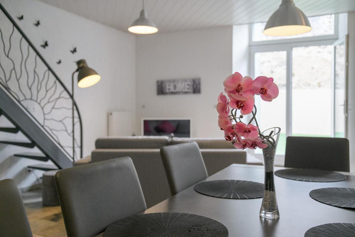 Les Nuits D'Anis - Appartements Hypercentre Le Puy-en-Velay Zewnętrze zdjęcie