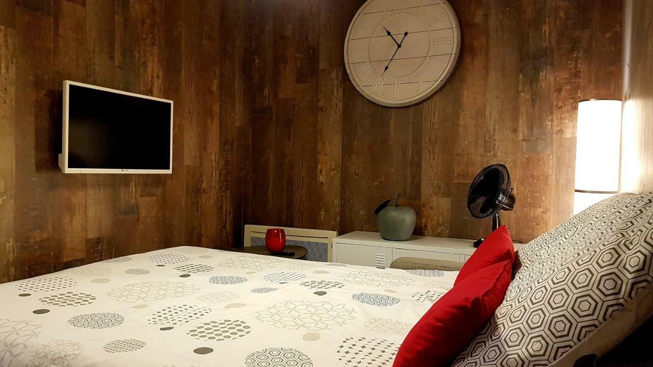 Les Nuits D'Anis - Appartements Hypercentre Le Puy-en-Velay Zewnętrze zdjęcie