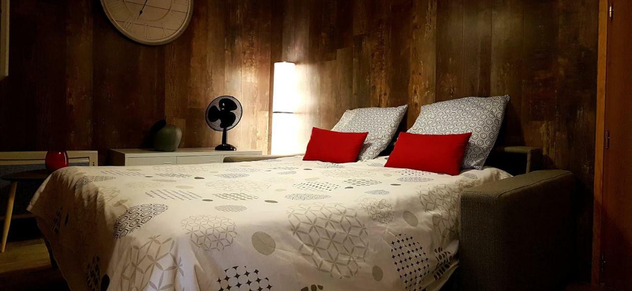 Les Nuits D'Anis - Appartements Hypercentre Le Puy-en-Velay Zewnętrze zdjęcie